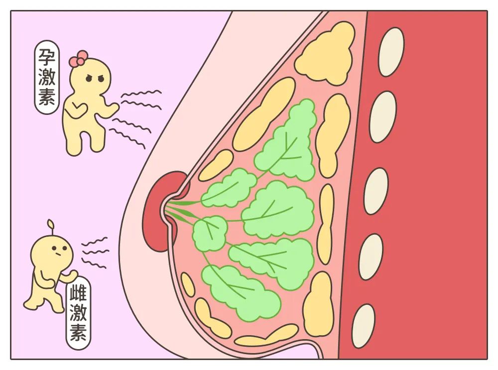 乳房胀痛变大的原因，要小心这3个